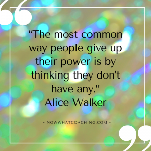 “The most common way people give up their power is by thinking they don’t have any.” Alice Walker
