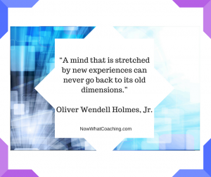 “A mind that is stretched by new experiences can never go back to its old dimensions.”Oliver Wendell Holmes, Jr.