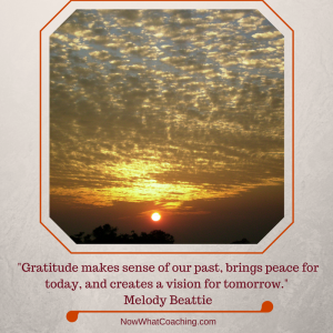 "Gratitude makes sense of our past, brings peace for today, and creates a vision for tomorrow." Melody Beattie