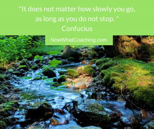 It does not matter how slowly you go, as long as you do not stop. Confucius