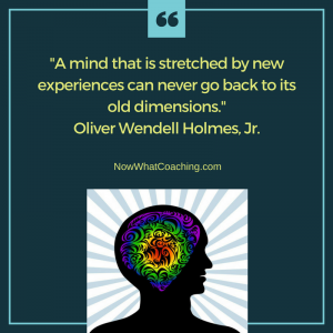 A mind that is stretched by new experiences can never go back to its old dimensions. Oliver Wendell Holmes, Jr.