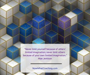 “Never limit yourself because of others’ limited imagination; never limit others because of your own limited imagination.” Mae Jemison