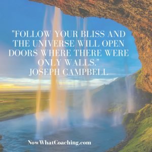 "Follow your bliss and the universe will open doors where there were only walls." Joseph Campbell