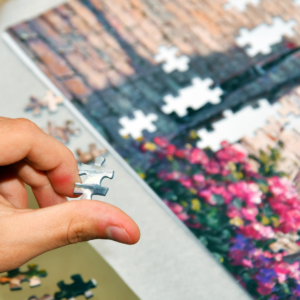 Lessons From My Jigsaw Puzzles by Laura Berman Fortgang