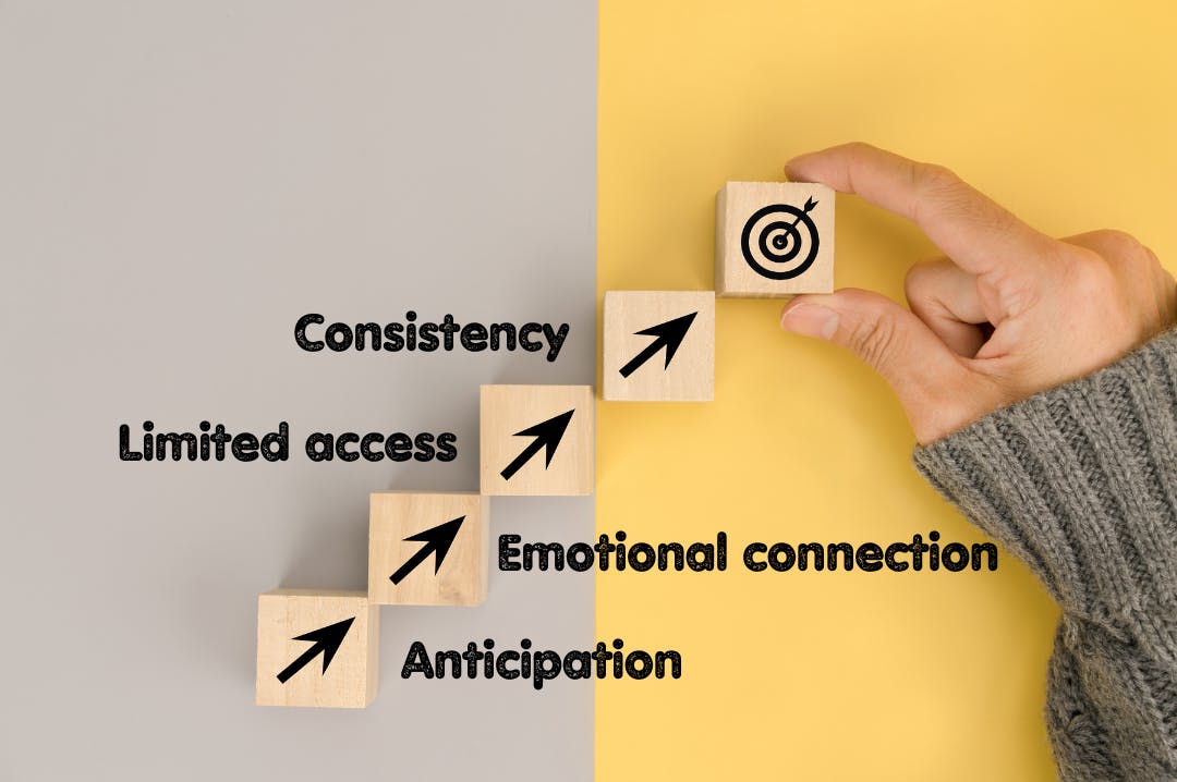 The Power of Pumpkin Spice