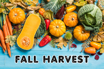 Harvesting Results in Q4